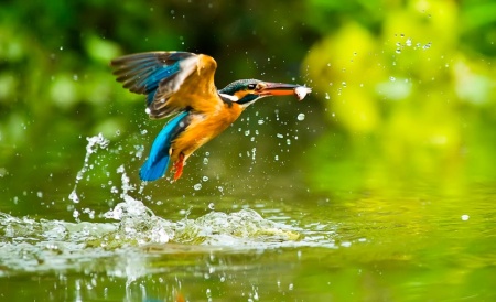 Фотоаппарат цифровой Panasonic Lumix DMC-FZ300