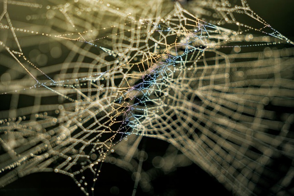 Объектив Canon RF 70-200 f/2.8L IS USM