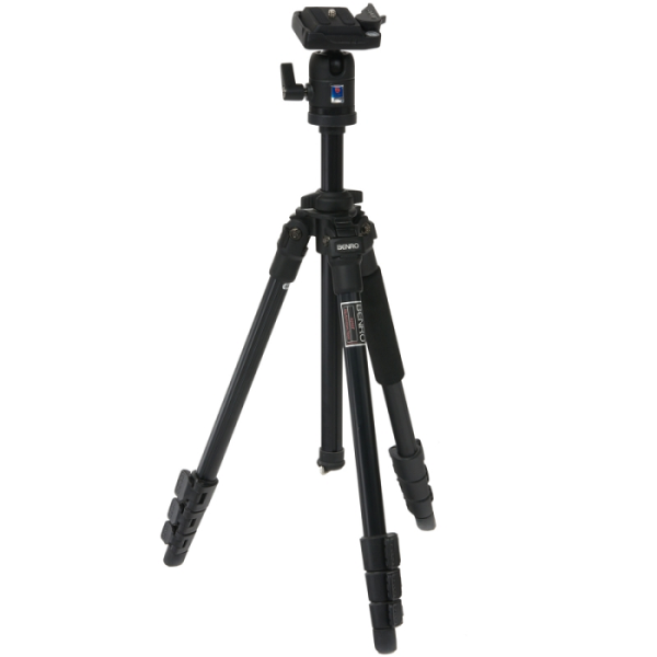 Штатив Benro A-250EX/BH-0