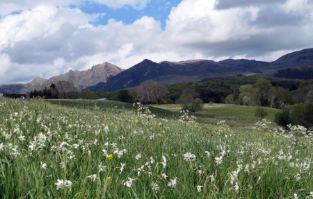 Фотоаппарат цифровой Panasonic DMC-TZ200