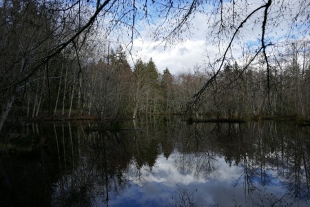 Фотоаппарат цифровой Panasonic Lumix DMC-TZ100